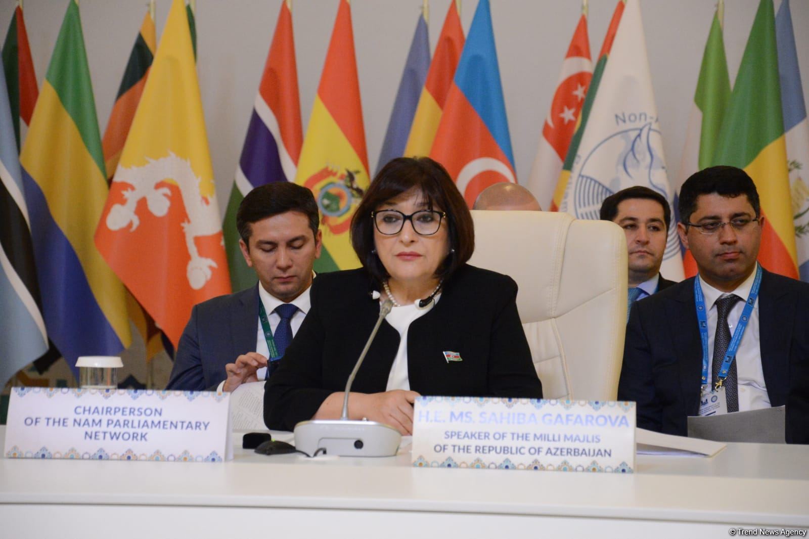 На Бакинской конференции Парламентской сети Движения неприсоединения выступают главы делегаций (ФОТО)