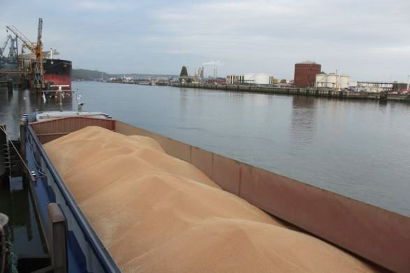 1st ship carrying wheat from Ukraine docks in Türkiye