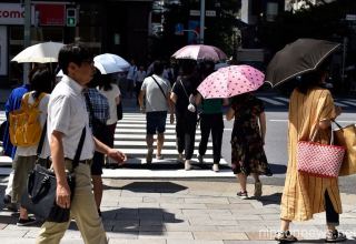 Tokyo's 9-day heatwave sets new record