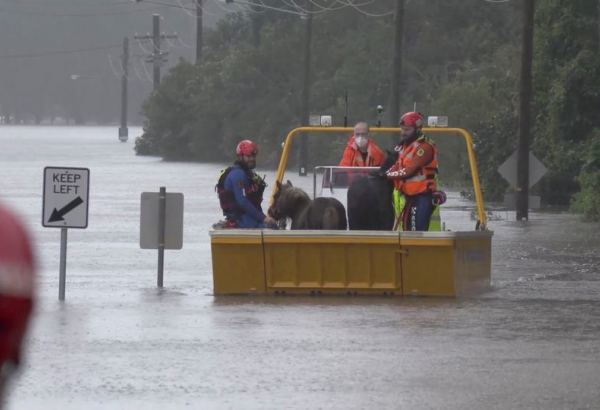 More heavy rains set to drench Sydney as thousands evacuate