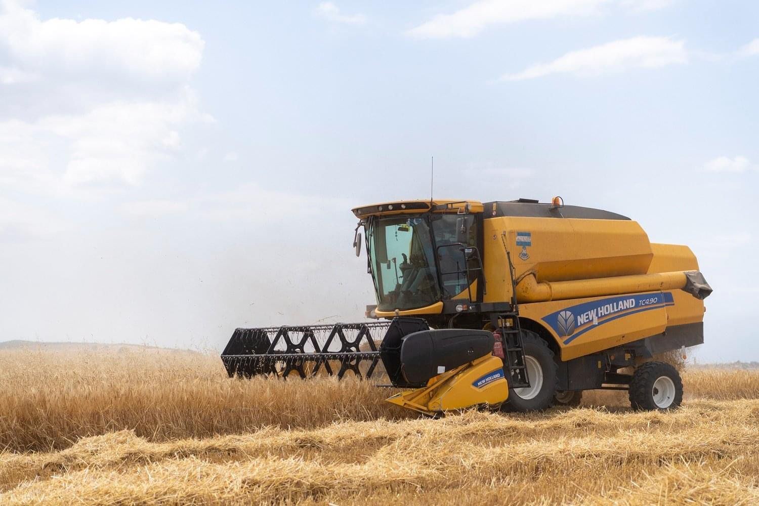 В Азербайджане увеличилась площадь посевов пшеницы