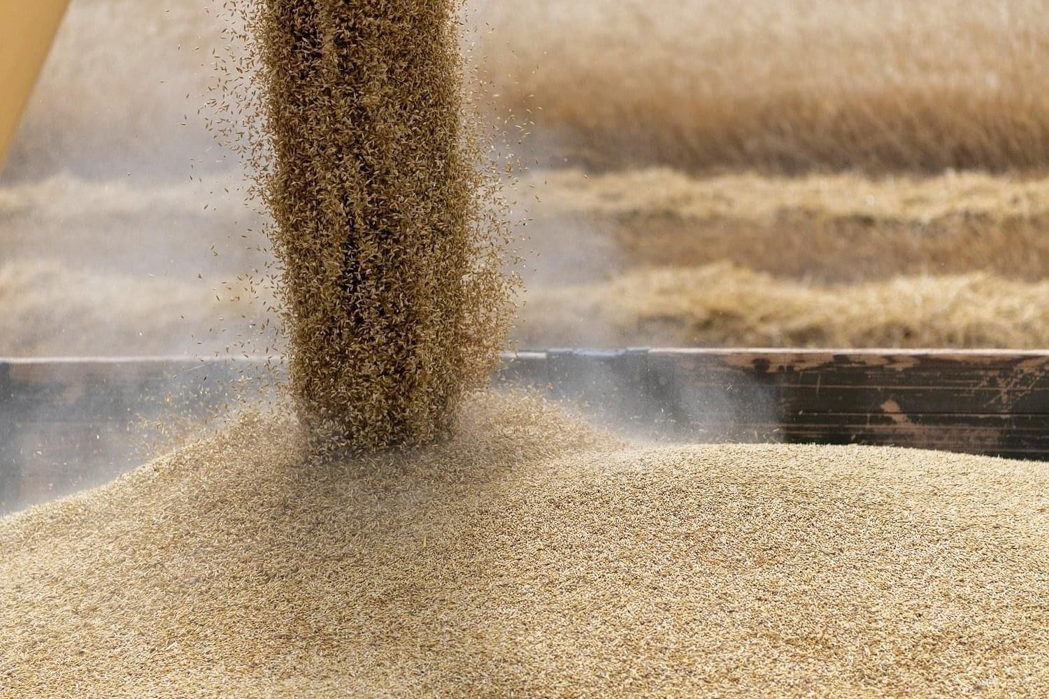 Kazakhstan lifts restrictions on wheat exports