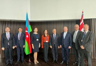 Состоялась встреча делегаций Азербайджана и Великобритании в ПА ОБСЕ