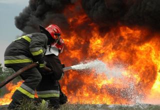 Четыре базы отдыха пострадали при пожаре в Казахстане