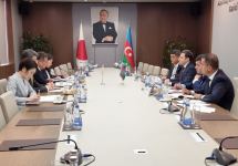 МИД Азербайджана и Японии провели политконсультации (ФОТО)