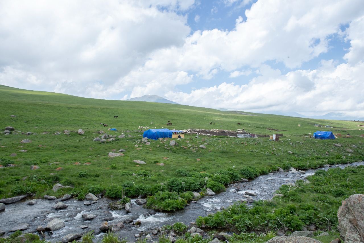 Названо число овцеводческих и пчеловодческих хозяйств, переведенных с начала года на освобожденные территории Азербайджана (ФОТО)