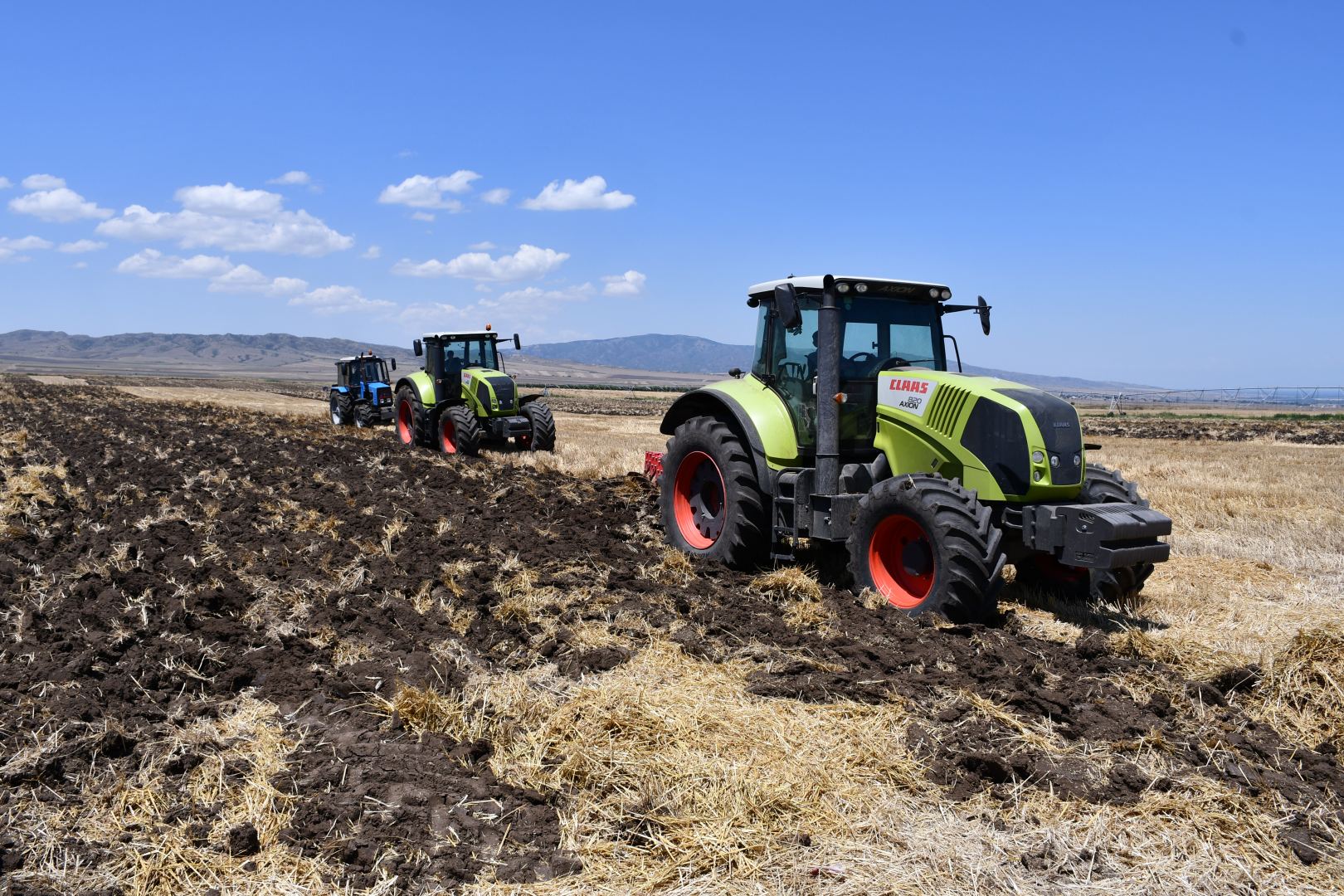 Azerbaijan unveils wheat crop areas in Ulu Agro LLC Gakh Agriculture Park (PHOTO)