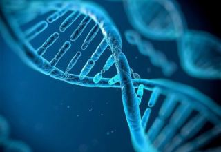 Ученые создали «ДНК-печатную машинку» на базе редактора генома