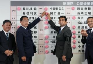 Правящая партия Японии одержала победу на выборах в верхнюю палату парламента
