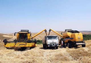 Kazakhstan increases grain export to Uzbekistan, Tajikistan