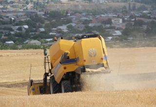 Обнародован объем экспорта зерновых в Азербайджан из российского региона