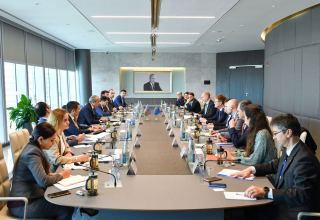 Azerbaijan, EU discuss creation of working group on investments (PHOTO)