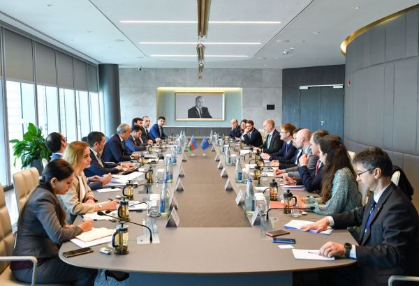 Azerbaijan, EU discuss creation of working group on investments (PHOTO)