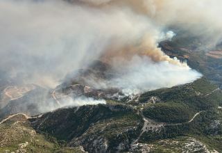 Türkiye names number of injured people following wildfire in Mugla