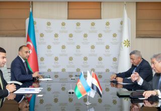 Azerbaijan, Egypt explore possibility of creating joint ventures