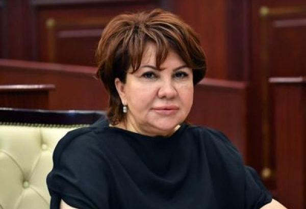 Сепаратисты в Карабахе понимают, что у них нет перспектив - Афет Гасанова
