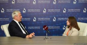 Сербия рассчитывает получить азербайджанский газ в ближайшие годы - экс-президент (ФОТО)