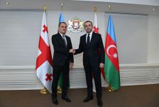 Azerbaijan's FM, Georgia's PM discuss peace process in South Caucasus (PHOTO)