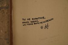 Выявлены лица, исписавшие граффити стены Ичеришехер (ФОТО)