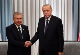 Presidents of Uzbekistan and Türkiye discuss bilateral relations