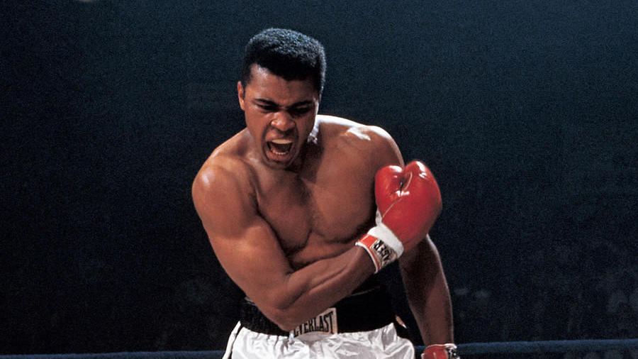 Мухаммед Али: биография легендарного боксера