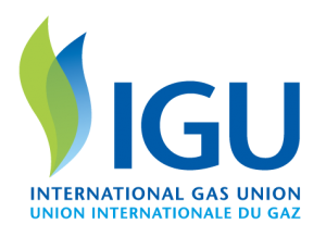 Азербайджан сыграет важную роль в стремлении ЕС заменить поставки природного газа – IGU