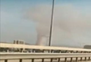 В одном из районов Баку тушат пожар на заболоченной местности (ВИДЕО)