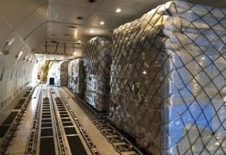 Cargo turnover in Uzbekistan's Tashkent International Airport soars
