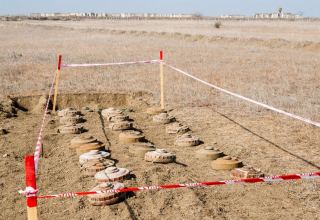 В Азербайджане названо число пострадавших от взрыва мин с начала года