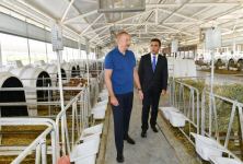 Президент Ильхам Алиев ознакомился с деятельностью Агсуинского агропарка (ФОТО/ВИДЕО)