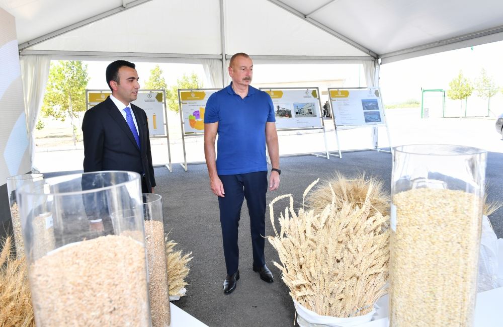 President Ilham Aliyev gets acquainted with activities of “Aghsu Agropark” (PHOTO/VIDEO)