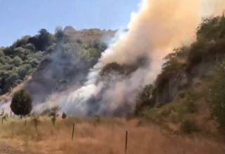 Armenians setting fire to forests in Azerbaijan's Lachin (VIDEO)