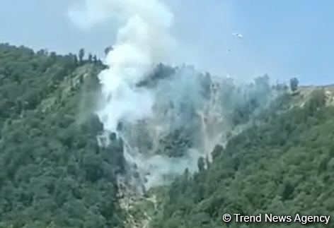 Продолжается пожар в лесах Габалы (ВИДЕО)