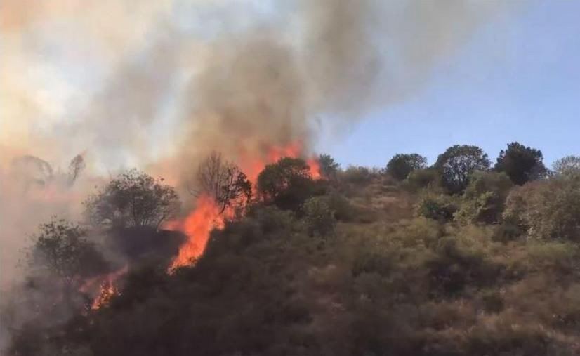 Azerbaijan's MFA comments on Armenians setting fire to forests in Azerbaijan's Lachin (PHOTO)