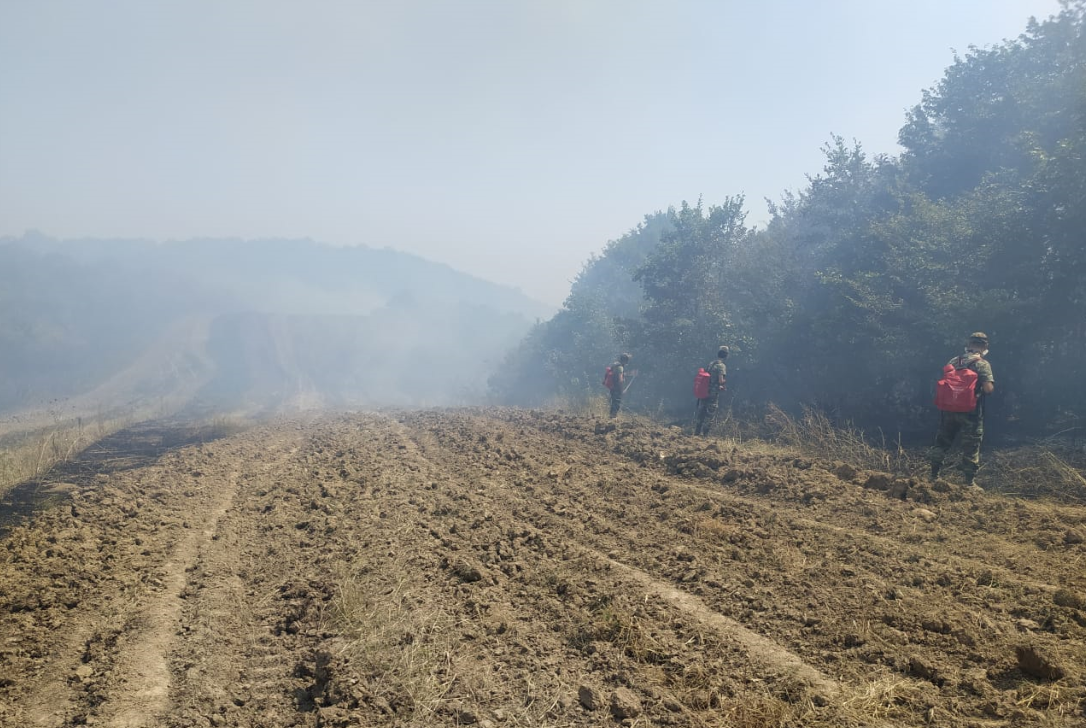 Для тушения лесных пожаров в Хачмаз прибыл пожарный поезд (ФОТО/ВИДЕО)