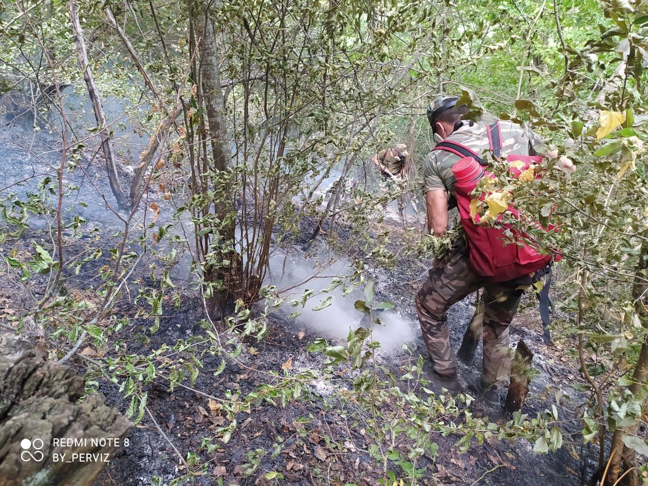 В северном и северо-западном регионах Азербайджана продолжается тушение лесных пожаров (ФОТО/ВИДЕО)