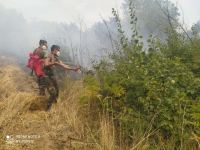 В северном и северо-западном регионах Азербайджана продолжается тушение лесных пожаров (ФОТО/ВИДЕО)