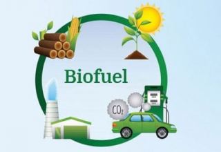 Waste-based biofuels to drive energy transition - WoodMac