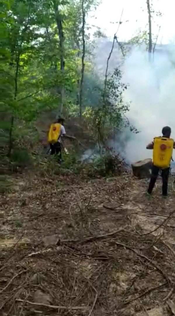 В Сиязане горит лес (ФОТО)