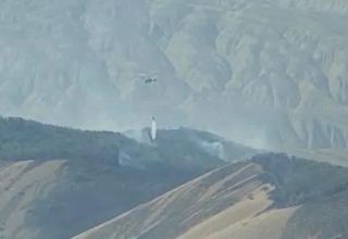 Пожары в горно-лесистой местности в Сиязанском и Шабранском районах Азербайджана полностью потушены (ФОТО/ВИДЕО)