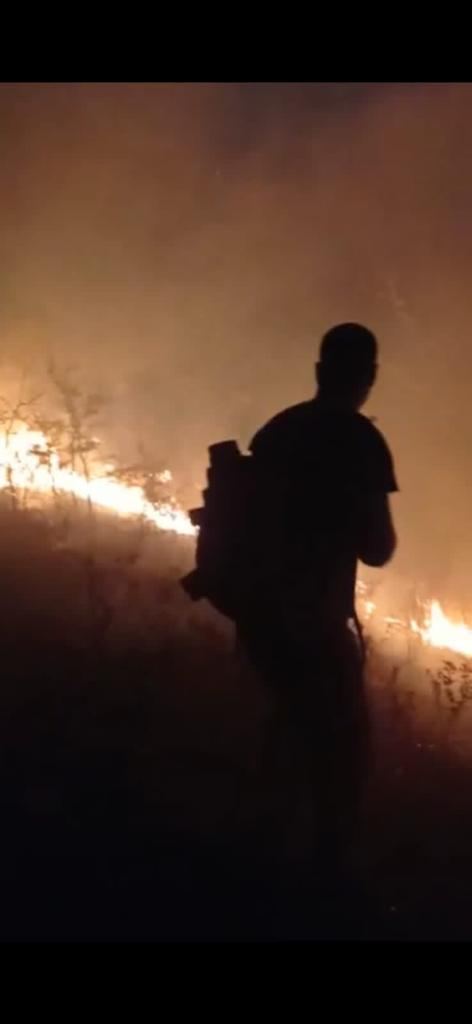 Пожары в горно-лесистой местности в Сиязанском и Шабранском районах Азербайджана полностью потушены (ФОТО/ВИДЕО)