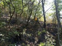 Полностью потушены пожары в северном регионе Азербайджана (ФОТО/ВИДЕО)
