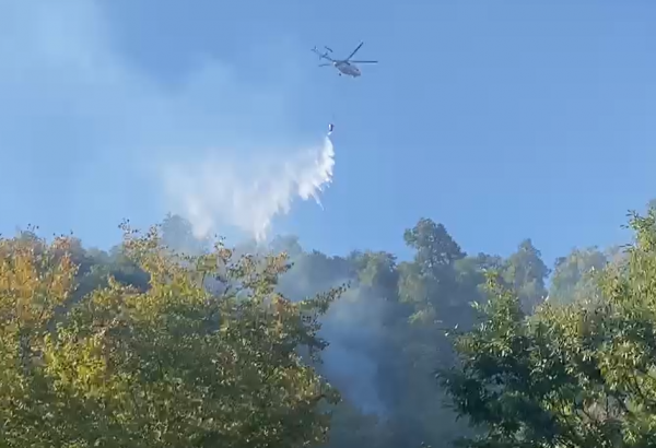 Wildfire breaks out in Azerbaijan's Zagatala