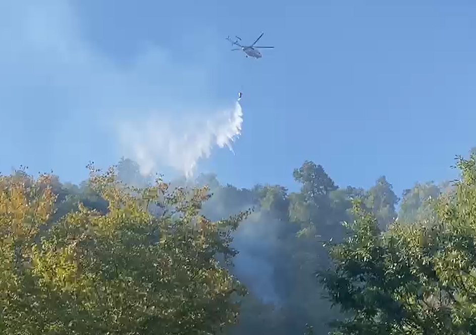 Azerbaijani battles wildfire in Zagatala (VIDEO)