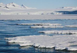США учредят должность посла по делам Арктики