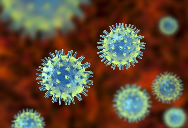 Qonşu ölkədə koronavirusun yeni variantı aşkarlandı