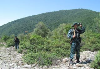 Azerbaijani State Border Service unveils number of detainees for violating state border