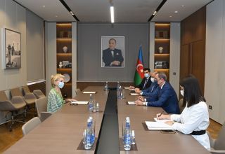 Azerbaijani FM meets up with UNESCO Goodwill Ambassador