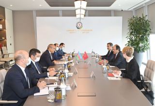 Азербайджан и Турция обсудили расширение инвестиционного сотрудничества (ФОТО)