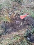 В Лачине и Кяльбаджаре обнаружены еще 74 мины (ФОТО/ВИДЕО)